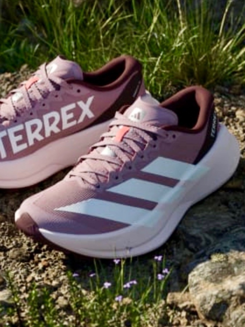 Adidas Terrex Aggravic SL